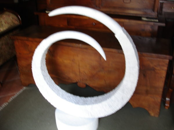 Giorgio Scarni Spirale.- Cod. 26